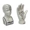 Ceramic Phrenology Bust Collectible Figurine Glossy White Scientific Decor